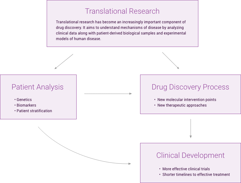 Tranlational Research Flow Chart