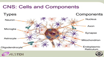 ALS Research 101 Slide - 1